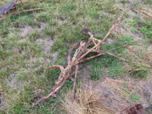Horse drawn plough